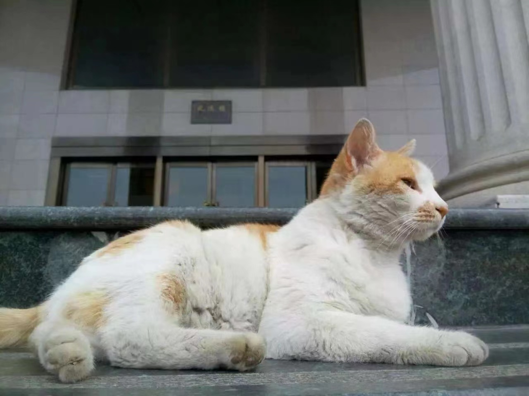 1653534827964657.png 微信图片_20220526111143.png