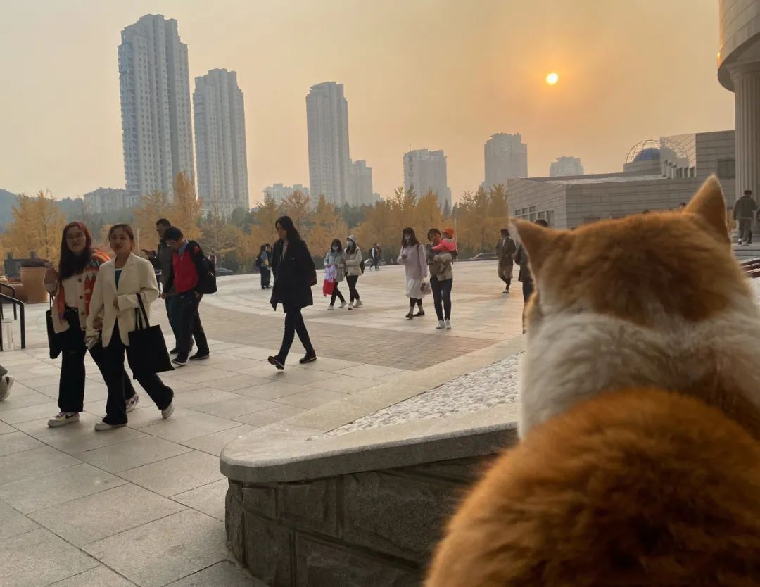 1653534856682610.jpg 微信图片_20220526111150.jpg